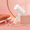 Отпариватель ручной Lofans Long Fei Folding Handheld Hanging Machine, белый